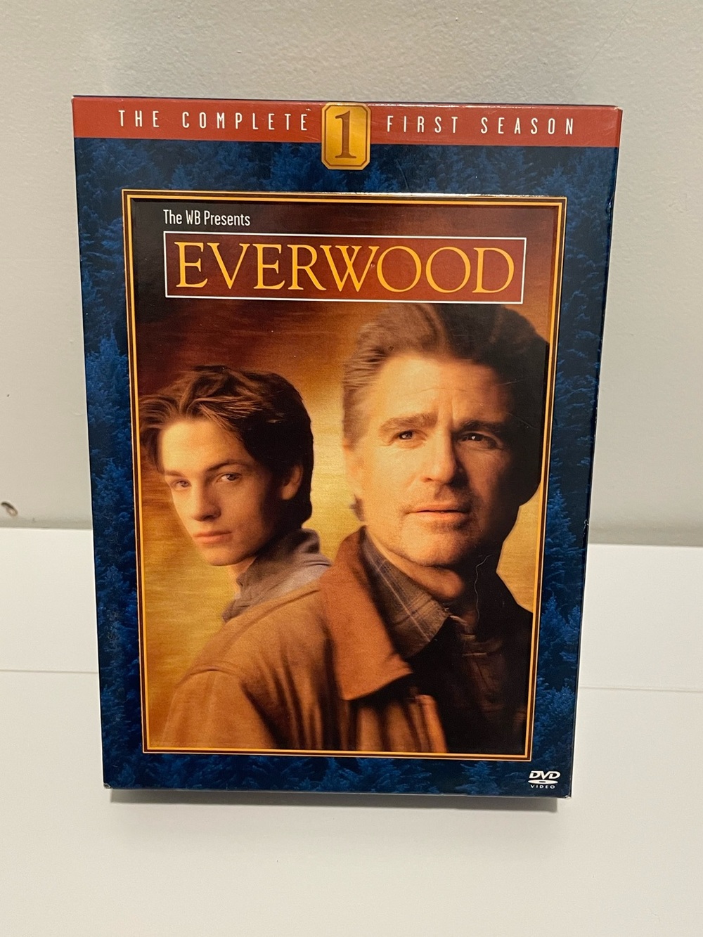 Everwood TV Series Season 1 DVD Set 2000's